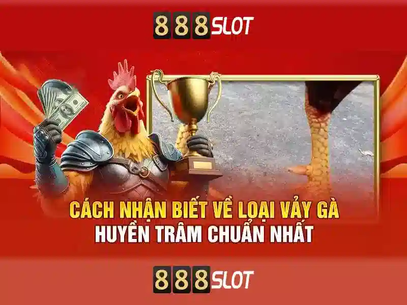💎kèo bóng đá tỷ lệ kèo nhà cái 5 hôm nay💎