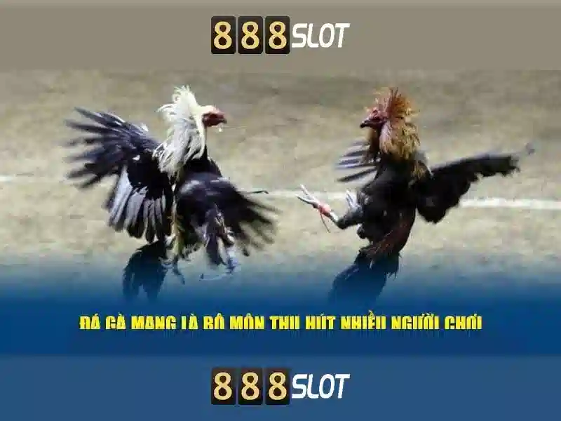  slot trực tiếp - 888slot