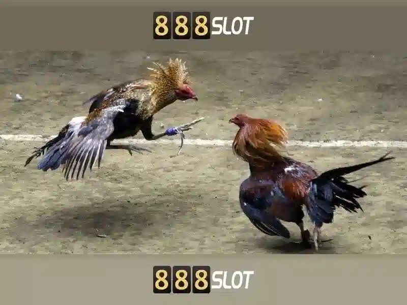  Trò chơi trực tuyến - 888slot