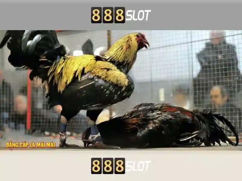 💎keo nhà cai 5💎