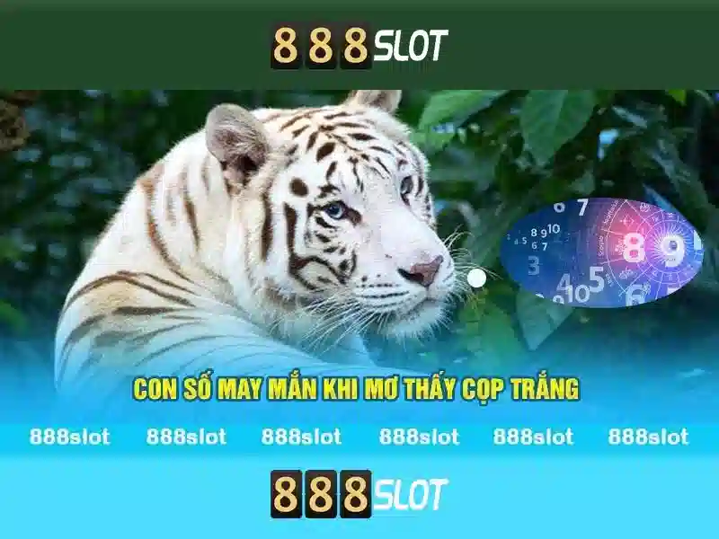 💎tiền thưởng sòng bạc không có tiền gửi💎