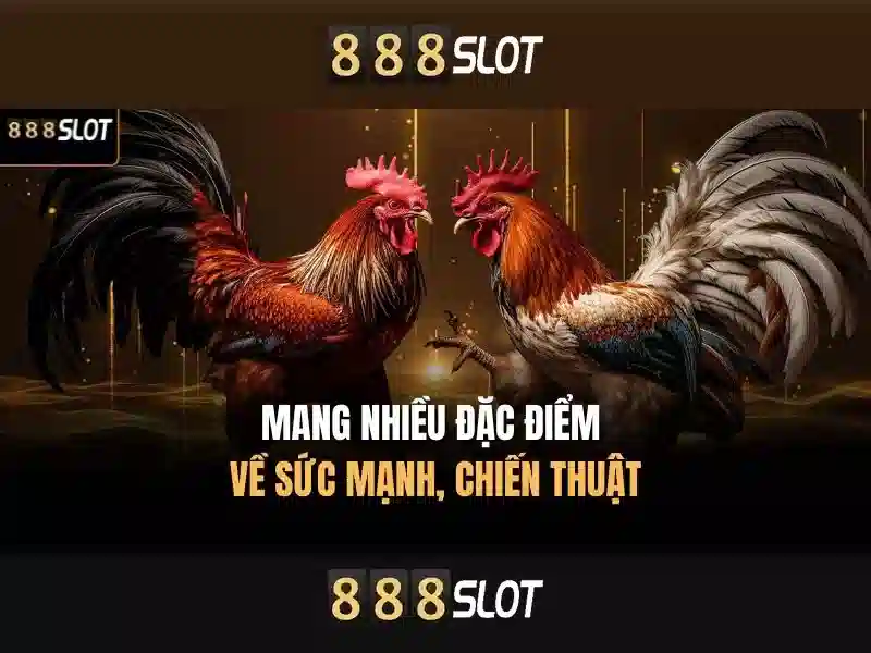 💎888slot tây ninh theo chủ sở hữu💎