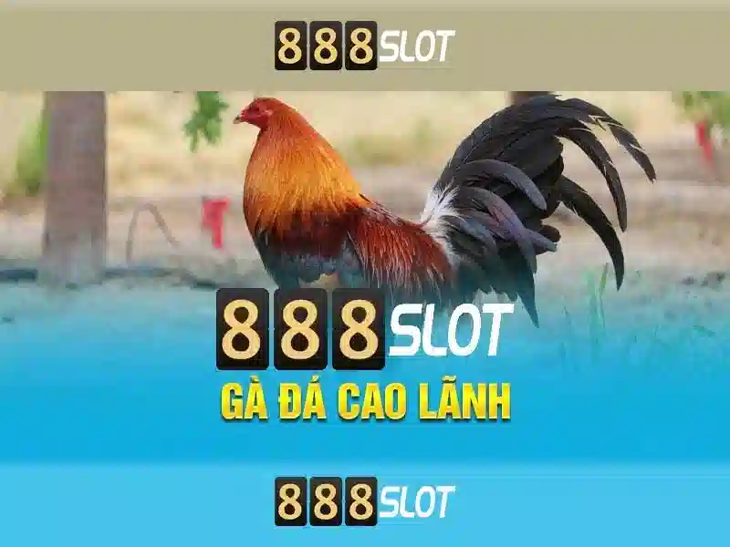 💎web cá cược thể thao fi88💎