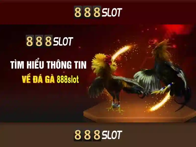 💎xem tructiepbongda keo nha cai💎