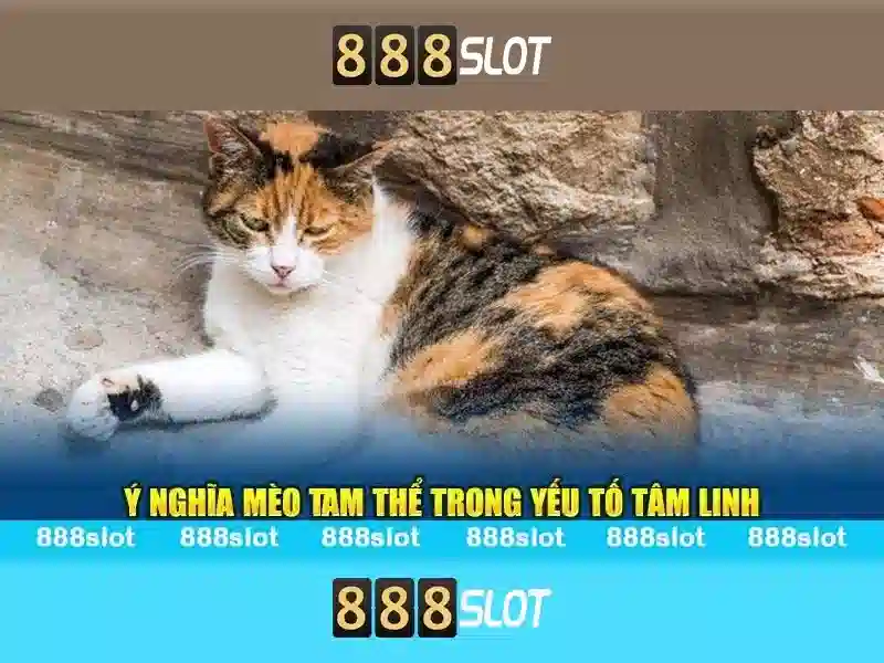 💎soi kèo nhà cái soikeonhacai39.com💎