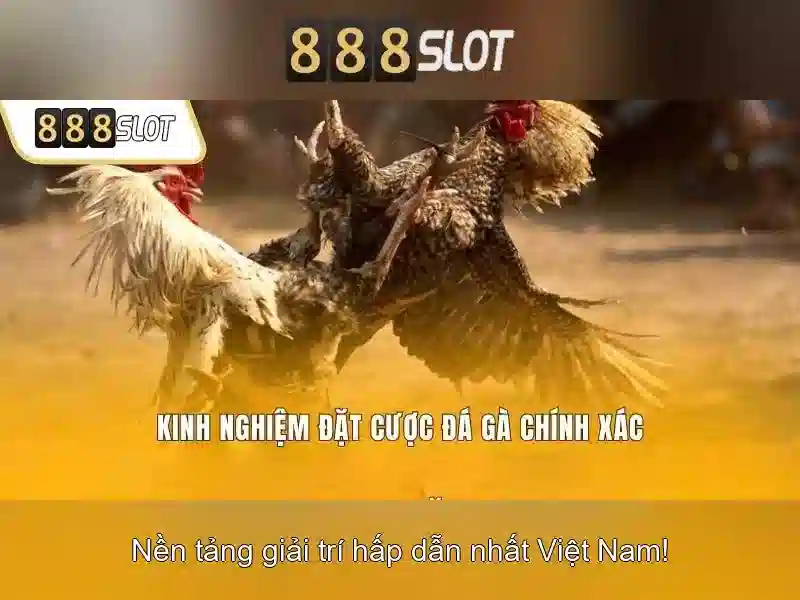 💎mẹo cá cược với bạn bè💎